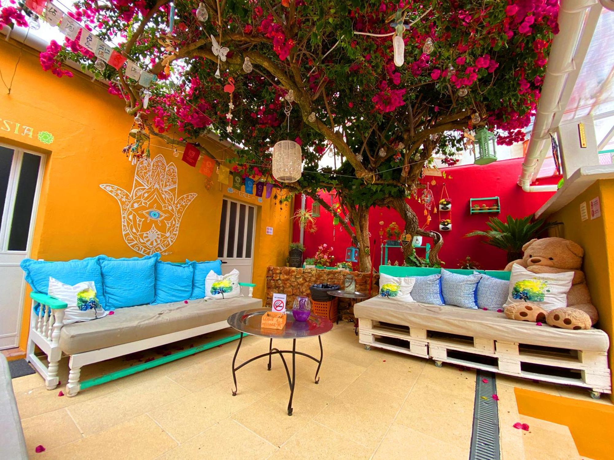 Orange Terrace Hostel อัลบูเฟรา ภายนอก รูปภาพ